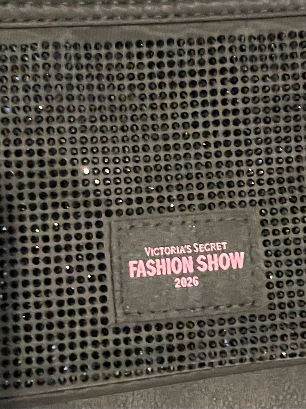NWT Victorias Secret 2026 Fashion Show Makeup Bag - Picture 3 of 7